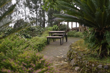 Serene outdoor seating area nestled within a vibrant green garden, offering a peaceful retreat for relaxation and reflection amidst lush natural beauty