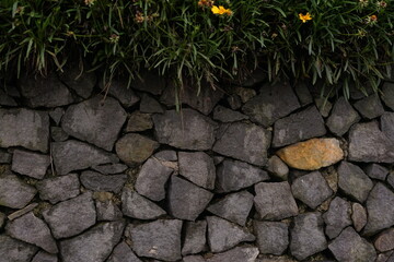 Rustic stone wall provides a textured backdrop, topped with vibrant green foliage and delicate yellow flowers, showcasing nature's persistent beauty