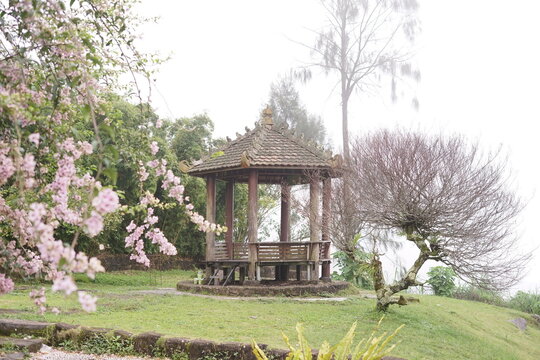 Traditional wooden gazebo nestled in a serene misty garden with vibrant pink blossoms and ancient trees, evoking a peaceful tranquil Asian landscape