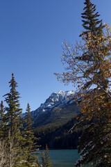 Two jack lake daytime