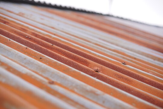 Weathered corrugated metal roof showcasing rich rust textures, aged patinas, and distinctive linear patterns under soft, diffused light, evoking a sense of time and decay