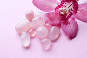Natural rose quartz stones and a pink cymbidium orchid flower on a pink background. Healing crystals.