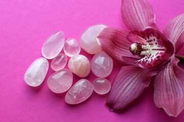 Natural rose quartz stones and a pink cymbidium orchid flower on a pink background. Healing crystals.