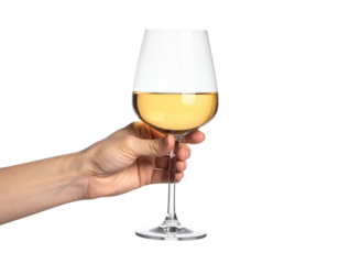 Elegant hand holding crisp white wine glass, perfect for celebratory toasts and fine dining moments