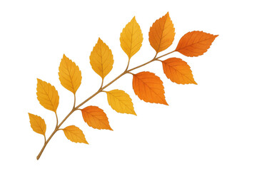 Fototapeta premium Autumn branch with golden orange falling leaves, changing season foliage, seasonal plant element, transparent background