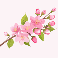 Naklejka premium Delicate Pink Cherry Blossom Branch with Blossoms and Buds.