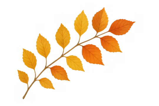 Autumn branch with golden orange falling leaves, changing season foliage, seasonal plant element, transparent background