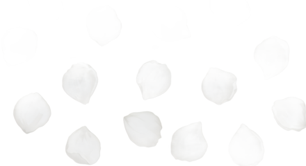 Scattered Hailstones A Glimpse of Winter's Icy Touch