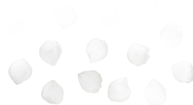 Scattered Hailstones A Glimpse of Winter's Icy Touch