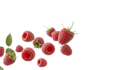 Fresh Ripe Raspberries Levitating Against a Clean White Background