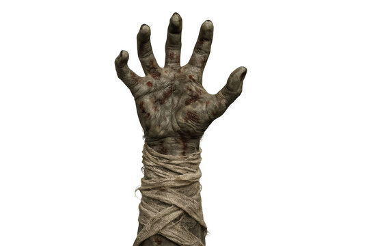 Zombie mummy undead hand reaching up, showing decaying skin, blood, and bandages, with transparent background, for horror concepts - Powered by Adobe