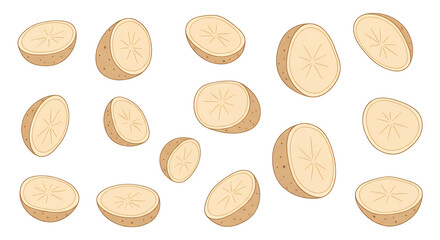 Freshly sliced kiwis arranged for culinary design, vector illustrations for healthy eating concepts