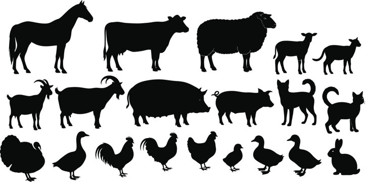 Collection of farm animal silhouettes on a white background