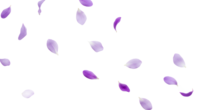 Delicate purple petals gently float in a serene, airy composition against a clean white background, evoking a sense of calm and renewal