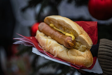 Hot dog with choucroute or pickled cabbage, Christmas Market, Strasbourg, France