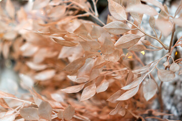 Golden, artificially colored dried leaves on twigs, Christmas and New Year decorations, toys hanging on tree, festive mood n