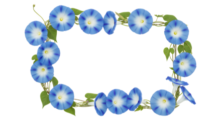 Beautiful blue morning glory flowers intricately arranged to form a decorative rectangular frame, perfect for natural design elements and summer themes on a clean white background