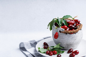 Dogwood berries with leafy twig in ceramic bowl on ribbed plate and checkered fabric with empty space