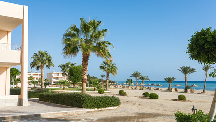 A sunny hotel beach in Egypt with tall palm trees, gentle waves, and a wide sandy shoreline creates a warm and inviting coastal atmosphere. The tropical vegetation and clear water highlight the relaxi