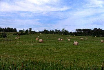 Nova Scotia - Near Antigonish