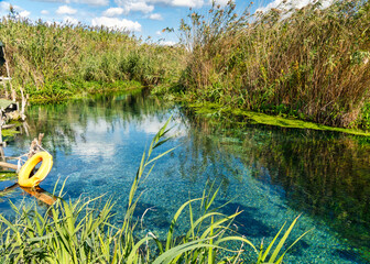 Natura Incontaminata Fiume Tara Taranto