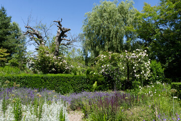Nova Scotia - Tangled Garden in Grand Pré