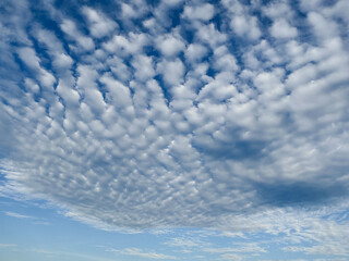 Fototapeta premium Altocumulus stratiformis undulatus or Wavy Mid-Level Cloud Formation