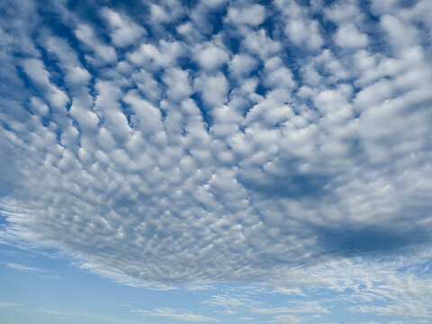 Altocumulus stratiformis undulatus or Wavy Mid-Level Cloud Formation