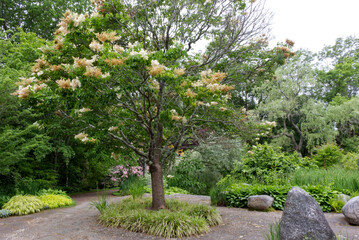 Nova Scotia - Annapolis Royal Historic Gardens