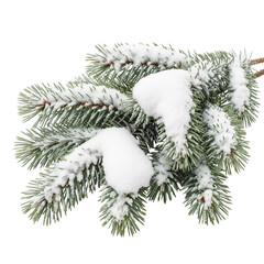 christmas tree branch with snow