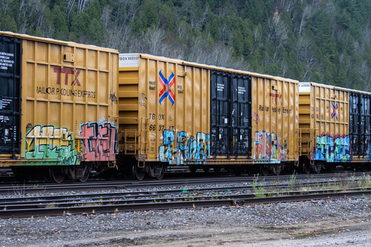 Canada, 29 October 2025 : Long yellow freight train cars covered with colorful graffiti art