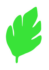 Simple green leaf