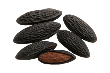 Aromatic Cumaru Seeds Isolated on a Transparent Background