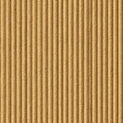 Neutral carton background, consistent shade and minimal artifacts across the field.