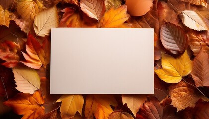 Blank Paper On Autumn Foliage Background