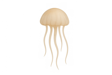 Jellyfish swimming in the deep sea, a delicate marine animal with a bell body and flowing tentacles, ocean wildlife element