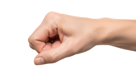 A hand clenched into a fist. 