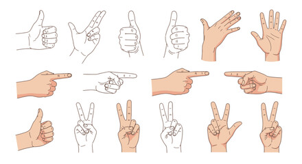 Fototapeta premium Illustrative hand gestures: thumbs up, peace sign, pointing, and open palm signals positivity, direction, and communication, ideal for designs and educational use