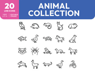 Line Art Animal Collection Owl Hedgehog Lizard Cat Guinea Pig and More