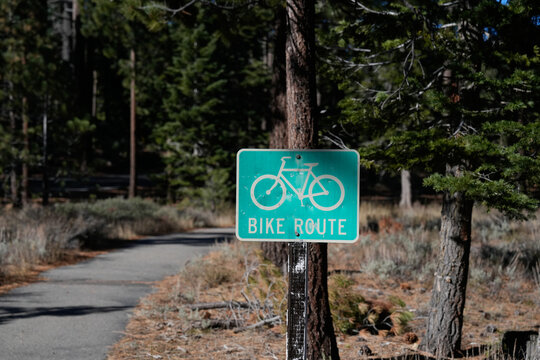 teal rectangular sign with a white bicycle icon and the "BIKE ROUTE" sign stands on a metal post beside a winding paved path through a pine forest, guiding cyclists along a designated trail in a natur