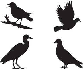 Obraz premium Four black bird silhouettes on white background one perched on branch flying standing