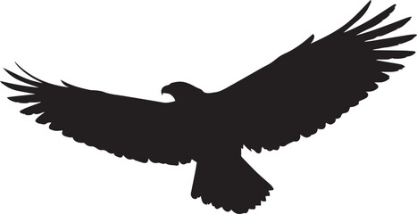 Obraz premium Silhouette of a hawk in flight isolated on