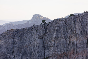 Rocky mountain cliffs near Tarragona, Spain, with a lone tree growing on the ridge and layered peaks in soft evening light.