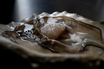 An open oyster glistens with fresh seawater, showcasing its plump flesh, nestled on a sleek dark plate, ready to be enjoyed during a delightful seafood gathering
