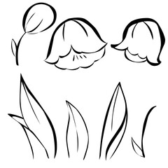vector illustration of bell flowers. bell flower sketch for decoration or design.