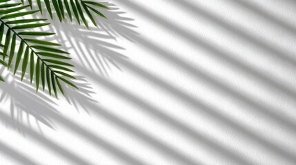 Minimalistic scene with palm leaves casting soft linear shadows across a white textured wall, creating a calm, tropical aesthetic
