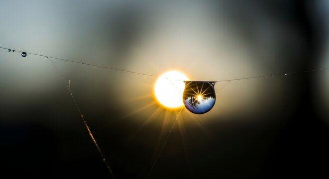 Close-up of a water droplet hanging on a spider web with the sun shining in the background during sunset or sunrise