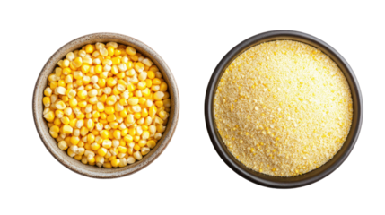 Corn kernels and corn powder overhead side by side on white background