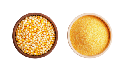 Corn kernels and corn powder overhead side by side on white background