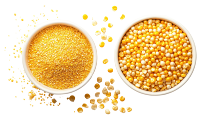 Corn kernels and corn powder overhead side by side on white background